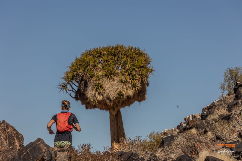 Klipspringer Challenge